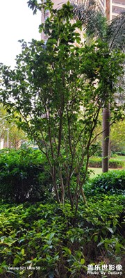 【五一隨拍】+生活隨手拍