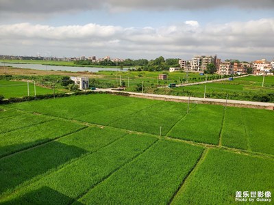 【五一隨拍】+田野
