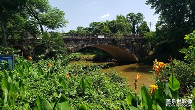 鄉(xiāng)村小橋