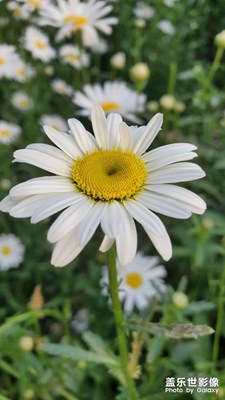 【五一隨拍】公園一角