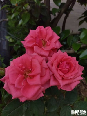 精修了一下，感覺還不錯。