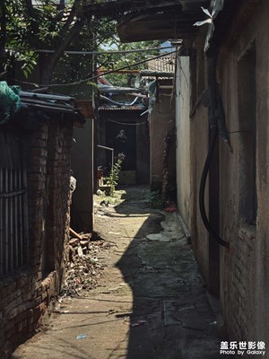 擇一城終老