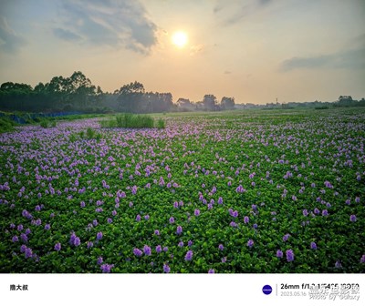 大家說這個地方怎么開釣？