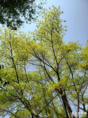 【初夏】+美好的夏天