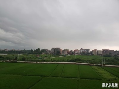 【陽光燦爛的日子】+ 暴雨前夕