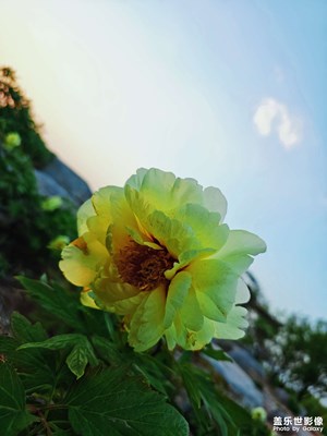 【陽(yáng)光燦爛的日子】生活隨拍