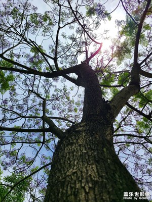 【用鏡頭講述】+?記錄美好