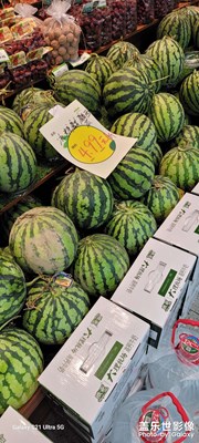 【鏡頭里的夏天】＋清晨里的夏天