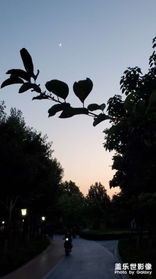 【鏡頭里的夏天】+游園記
