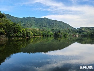 【夏日好時光】仙湖