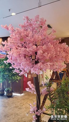 【夏日好時(shí)光】+夜游商場(chǎng)