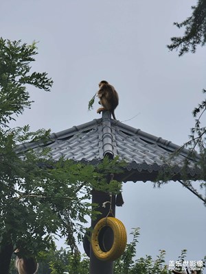 【把快樂塞進相冊里】秦嶺四寶科學(xué)公園