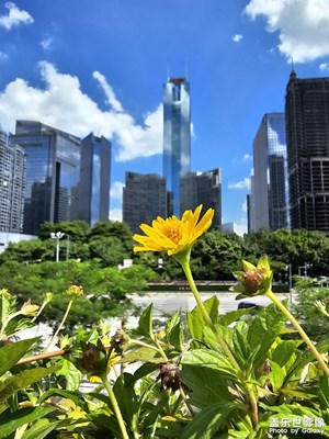 【把快樂(lè)塞進(jìn)相冊(cè)里】+隨手拍