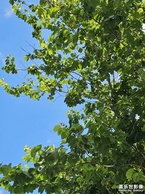 【把快樂(lè)塞進(jìn)相冊(cè)里】+夏日好時(shí)光