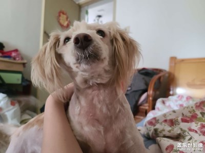 【創(chuàng)意生活】+?鏡心記憶