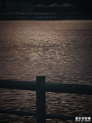 【多彩七月】鏡頭里的故事