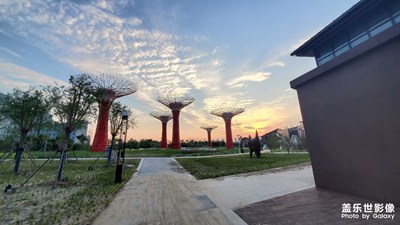 【多彩七月】+ 湖面夕陽(yáng)