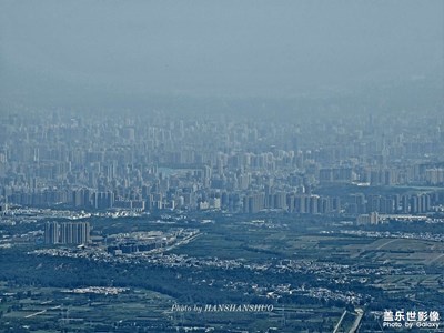 【多彩七月】+ 城市森林