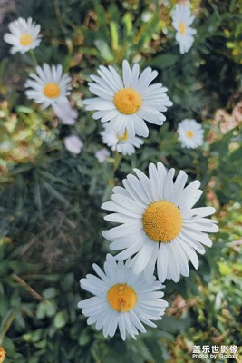 最近的活動(dòng)一次也沒有中獎(jiǎng)，心態(tài)崩了