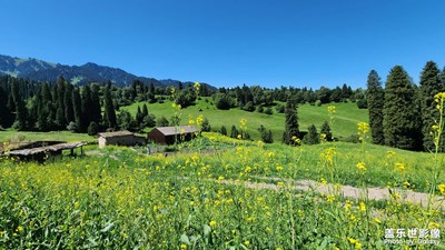 【視覺(jué)盛夏】

新疆游記