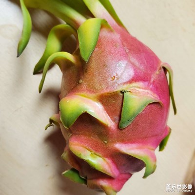 【視覺盛夏】+夏日清涼