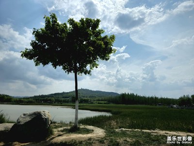 這邊風(fēng)景獨(dú)好2