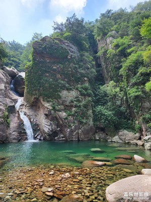 分享美好+嶗山品茗