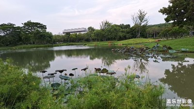 湖光山色共爭(zhēng)秋，一點(diǎn)塵埃無(wú)覓處