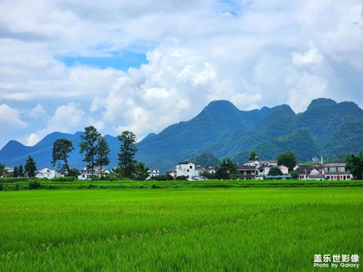 稻香季節(jié)