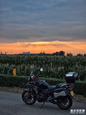 迎著夕陽