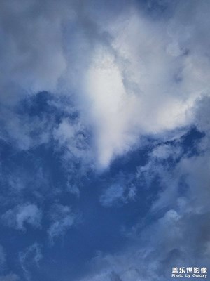 【最美初秋】天空，樹木和月亮。