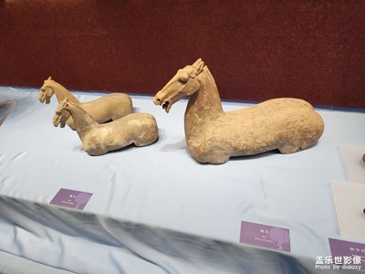 【最美初秋】博物館一日游