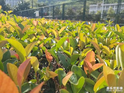 【再見(jiàn)夏天】再見(jiàn)夏天