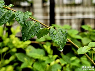【最美初秋】+一場秋雨一場涼