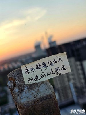 【城市名片】衡水晚霞