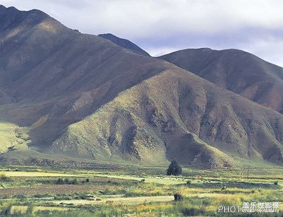 【光影之間】+源起青海