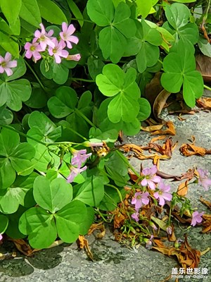 【光影之間】+午后