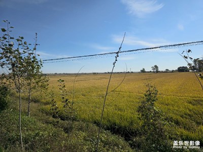 【雙節(jié)小長(zhǎng)假】回鄉(xiāng)