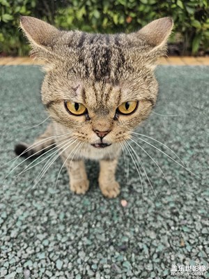 【雙節(jié)同慶】+美好生活