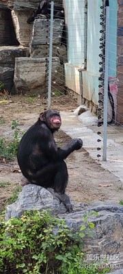 秋日風(fēng)景動(dòng)物園