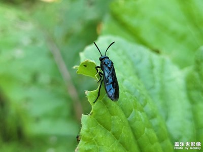 【雙節(jié)小長假】+勤勞致富