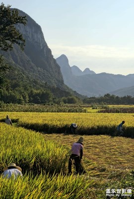 

【雙節(jié)小長假】

秋收