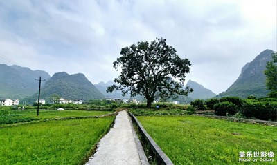 【別樣精彩】鄉(xiāng)村行