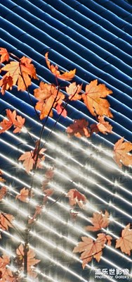 拍才知道，最美的云南，一年四季，還是那么美。