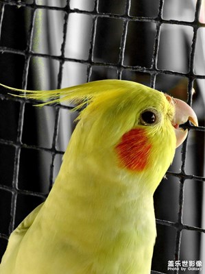 【精彩瞬間】小生命