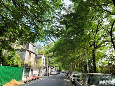 周末閑暇游老市區(qū)