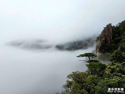 人在霧中游