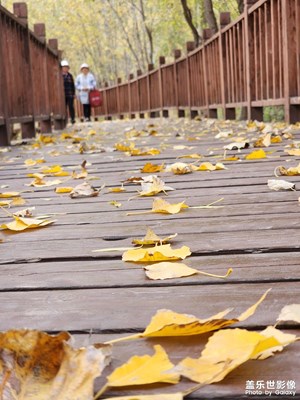【精彩瞬間】詩一般的秋天