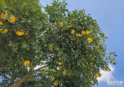 【精彩瞬間】+碩果累累