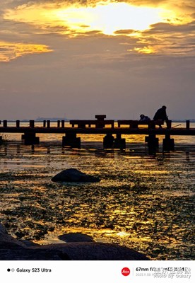 傍晚，男人與狗??